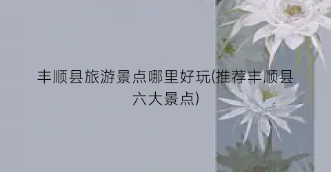 丰顺县旅游景点哪里好玩(推荐丰顺县六大景点)
