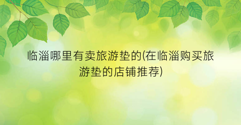 临淄哪里有卖旅游垫的(在临淄购买旅游垫的店铺推荐)