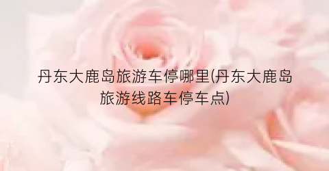 丹东大鹿岛旅游车停哪里(丹东大鹿岛旅游线路车停车点)