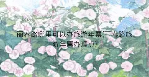 丽春路哪里可以办旅游年票(丽春路旅游年票办理点)