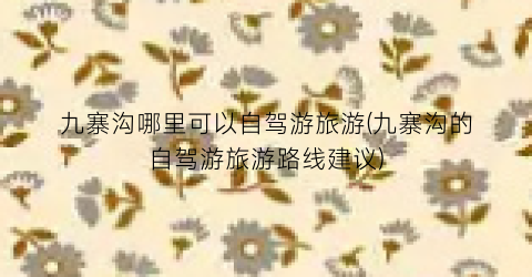 九寨沟哪里可以自驾游旅游(九寨沟的自驾游旅游路线建议)