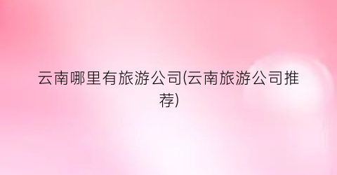 云南哪里有旅游公司(云南旅游公司推荐)