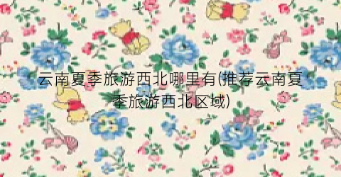 云南夏季旅游西北哪里有(推荐云南夏季旅游西北区域)