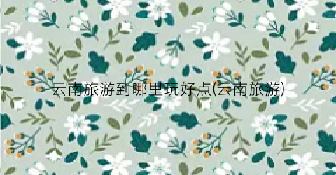 云南旅游到哪里玩好点(云南旅游)