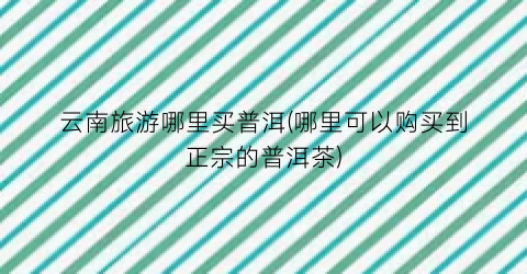 云南旅游哪里买普洱(哪里可以购买到正宗的普洱茶)
