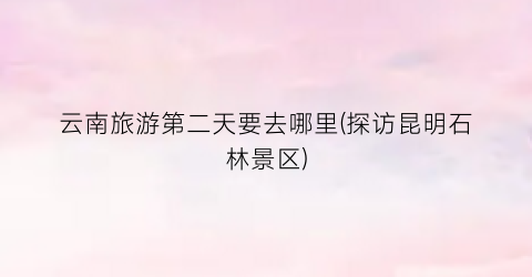 云南旅游第二天要去哪里(探访昆明石林景区)