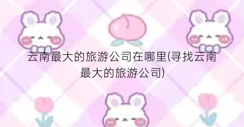 云南最大的旅游公司在哪里(寻找云南最大的旅游公司)