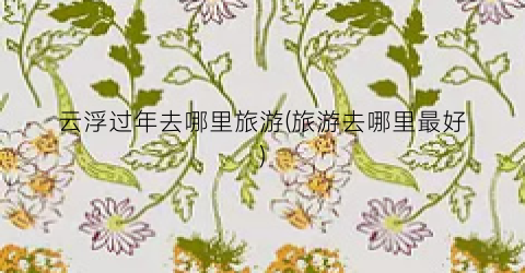 云浮过年去哪里旅游(旅游去哪里最好)