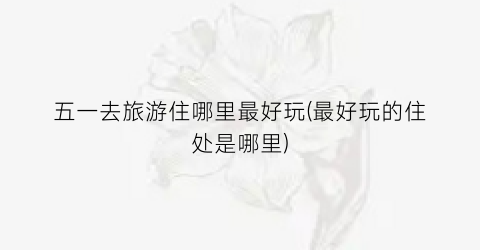 五一去旅游住哪里最好玩(最好玩的住处是哪里)