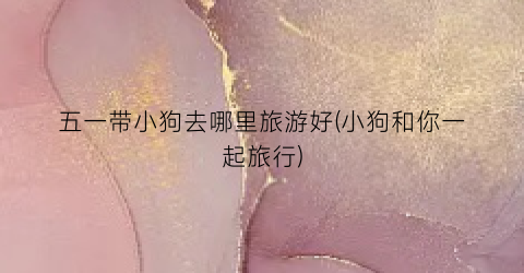 五一带小狗去哪里旅游好(小狗和你一起旅行)