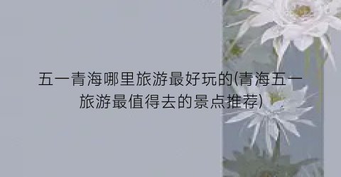 五一青海哪里旅游最好玩的(青海五一旅游最值得去的景点推荐)