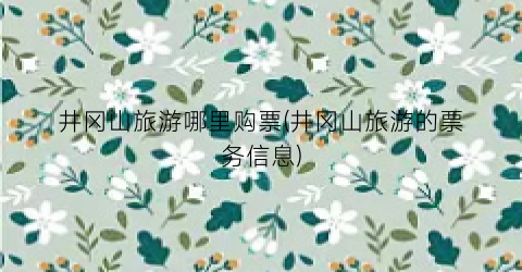 井冈山旅游哪里购票(井冈山旅游的票务信息)