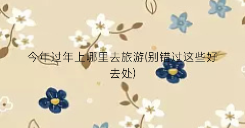 今年过年上哪里去旅游(别错过这些好去处)