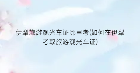 伊犁旅游观光车证哪里考(如何在伊犁考取旅游观光车证)
