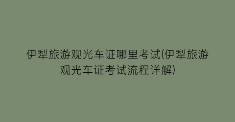 伊犁旅游观光车证哪里考试(伊犁旅游观光车证考试流程详解)