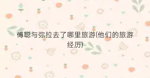 傅聪与弥拉去了哪里旅游(他们的旅游经历)