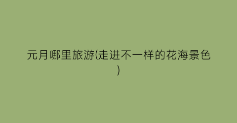 元月哪里旅游(走进不一样的花海景色)