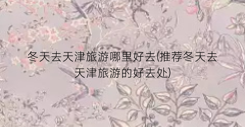 冬天去天津旅游哪里好去(推荐冬天去天津旅游的好去处)