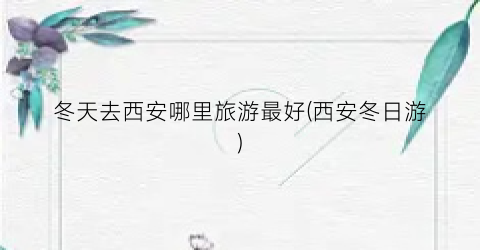 冬天去西安哪里旅游最好(西安冬日游)