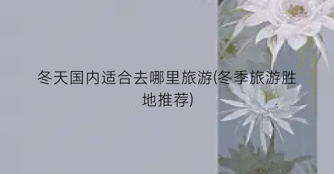 冬天国内适合去哪里旅游(冬季旅游胜地推荐)
