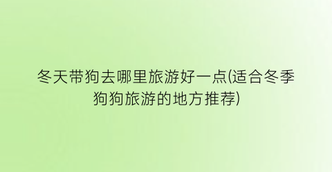 冬天带狗去哪里旅游好一点(适合冬季狗狗旅游的地方推荐)