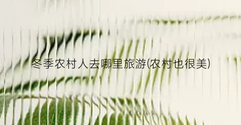 冬季农村人去哪里旅游(农村也很美)