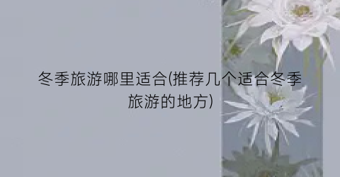 冬季旅游哪里适合(推荐几个适合冬季旅游的地方)