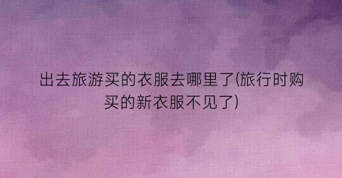 出去旅游买的衣服去哪里了(旅行时购买的新衣服不见了)