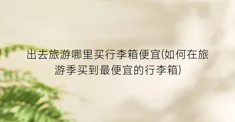 出去旅游哪里买行李箱便宜(如何在旅游季买到最便宜的行李箱)