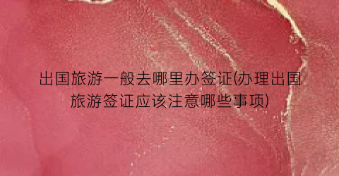 出国旅游一般去哪里办签证(办理出国旅游签证应该注意哪些事项)