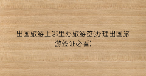 出国旅游上哪里办旅游签(办理出国旅游签证必看)