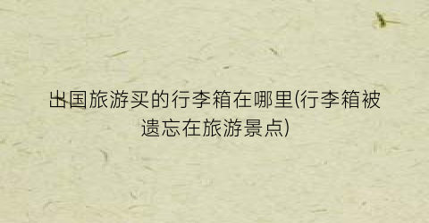 出国旅游买的行李箱在哪里(行李箱被遗忘在旅游景点)