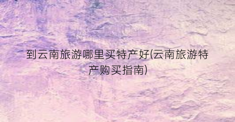 到云南旅游哪里买特产好(云南旅游特产购买指南)