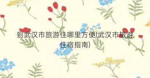 到武汉市旅游住哪里方便(武汉市旅游住宿指南)
