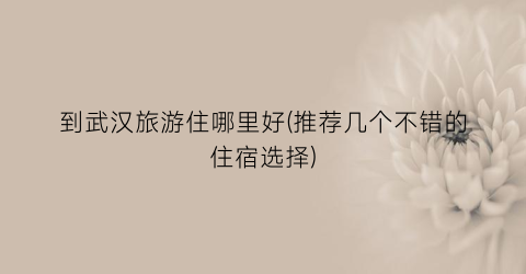 到武汉旅游住哪里好(推荐几个不错的住宿选择)