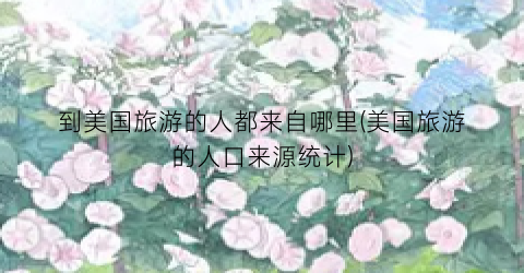 到美国旅游的人都来自哪里(美国旅游的人口来源统计)