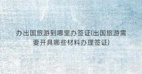 办出国旅游到哪里办签证(出国旅游需要开具哪些材料办理签证)