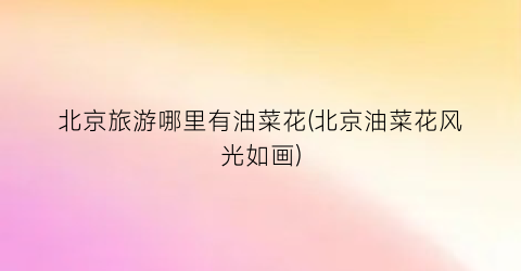 北京旅游哪里有油菜花(北京油菜花风光如画)