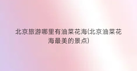 北京旅游哪里有油菜花海(北京油菜花海最美的景点)