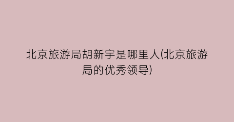 北京旅游局胡新宇是哪里人(北京旅游局的优秀领导)