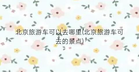 北京旅游车可以去哪里(北京旅游车可去的景点)