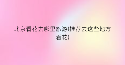 北京看花去哪里旅游(推荐去这些地方看花)