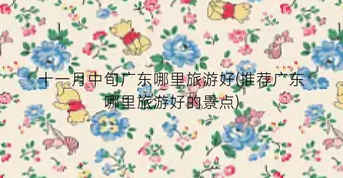 十一月中旬广东哪里旅游好(推荐广东哪里旅游好的景点)