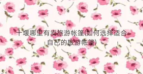十堰哪里有卖旅游帐篷(如何选择适合自己的旅游帐篷)