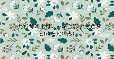 十月份都哪里可以去旅游(欣赏紫色梦幻雅布赖特湖)