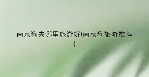 南京狗去哪里旅游好(南京狗旅游推荐)