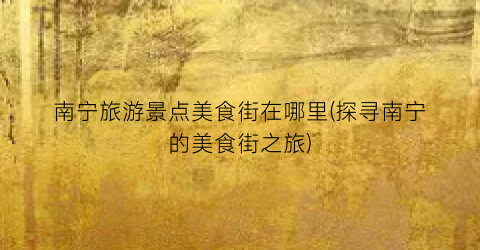 南宁旅游景点美食街在哪里(探寻南宁的美食街之旅)
