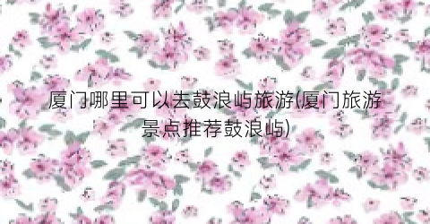 厦门哪里可以去鼓浪屿旅游(厦门旅游景点推荐鼓浪屿)