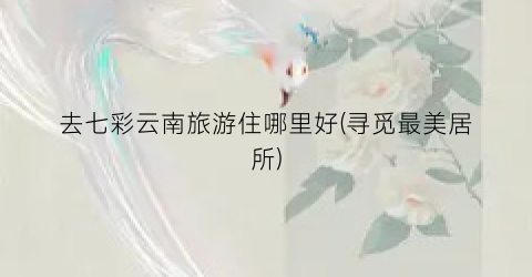 去七彩云南旅游住哪里好(寻觅最美居所)