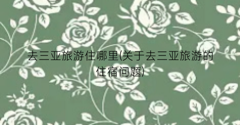 去三亚旅游住哪里(关于去三亚旅游的住宿问题)